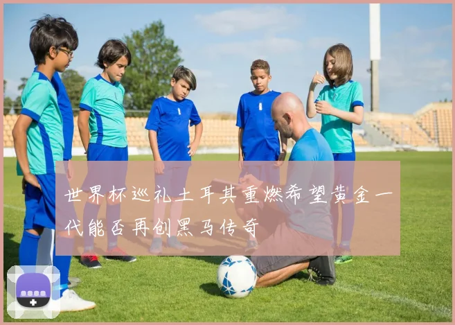 世界杯巡礼土耳其重燃希望黄金一代能否再创黑马传奇
