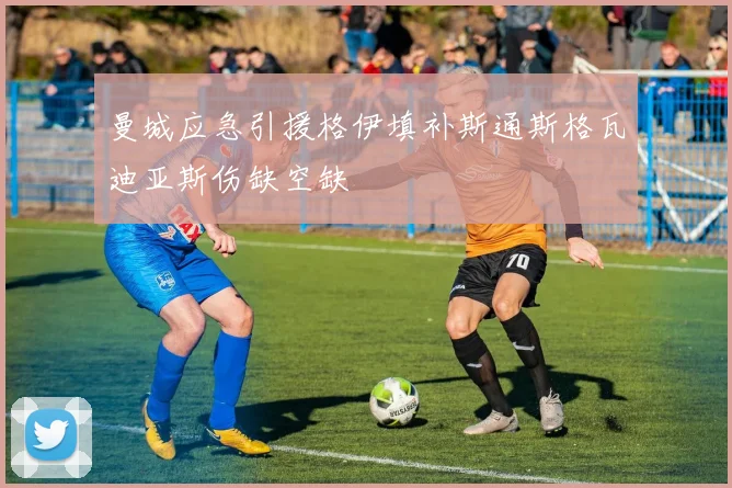 曼城应急引援格伊填补斯通斯格瓦迪亚斯伤缺空缺